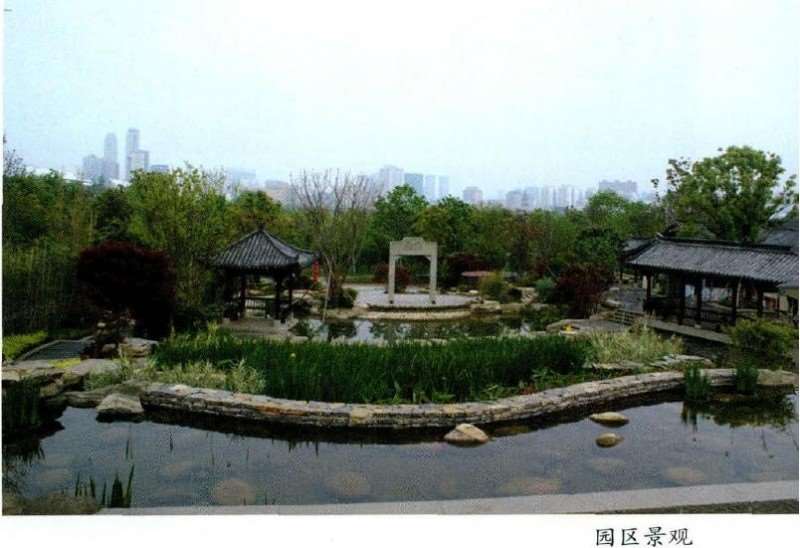 重庆园占地面积约3500平方米