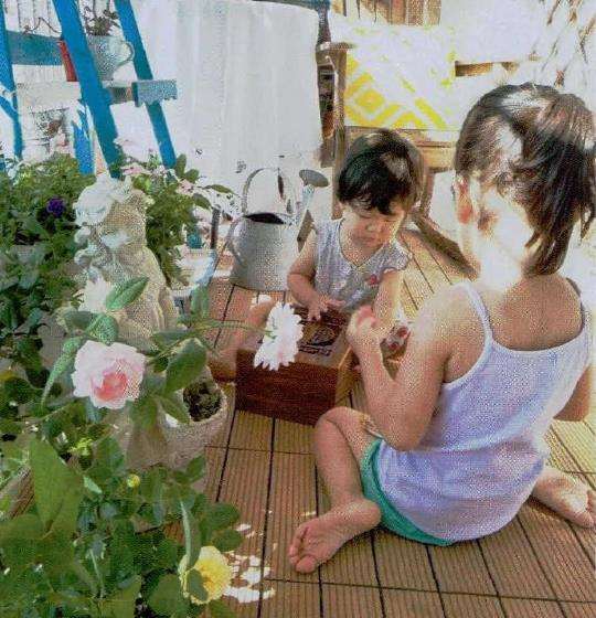 我花痴一枚 有阳台花园一个
