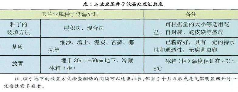 玉兰种子怎么低温处理的4个步骤