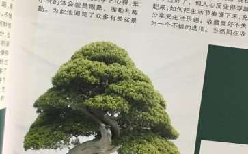 《花木盆景》杂志又实现了改版升级