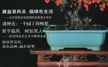 我查看《花木盆景》杂志 从1984年到现在