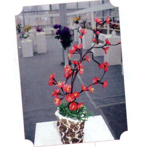 第七届安徽省花博会绽放阜阳