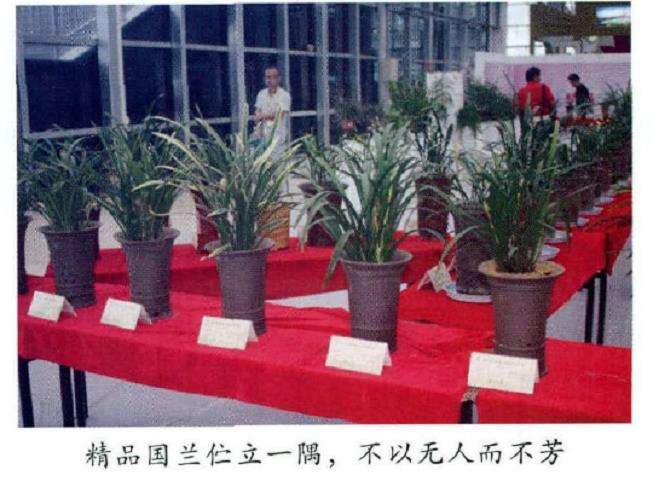 第七届安徽省花博会绽放阜阳