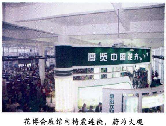 第七届安徽省花博会绽放阜阳