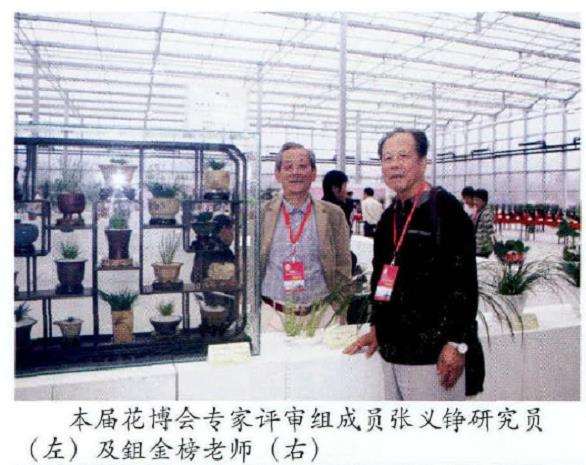 第七届安徽省花博会绽放阜阳