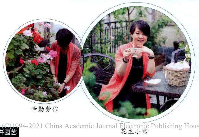 有一个角落是特意留给多肉的