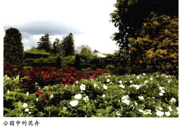 美国长木公园占地面积约6374亩 图片