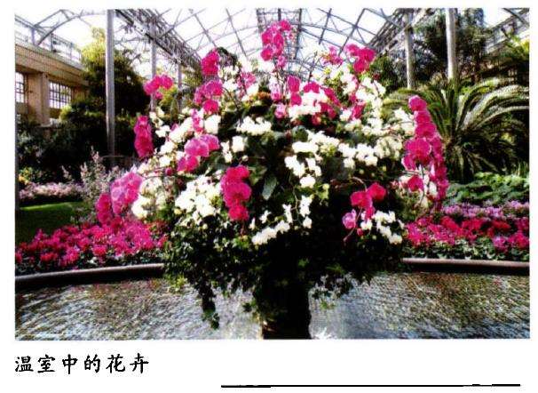 美国长木公园占地面积约6374亩
