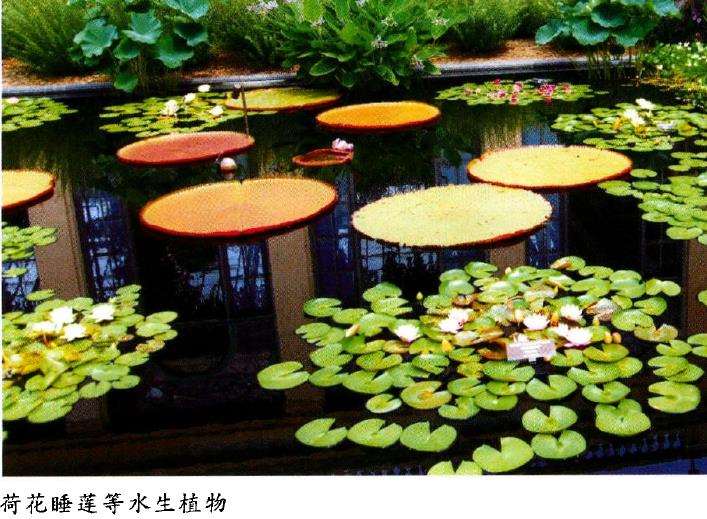 美国长木公园占地面积约6374亩