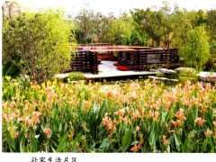 南宁园又名锦园占地面积2480平方米