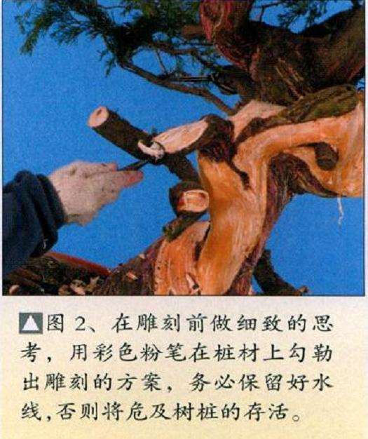 图解 盆景丝雕工具怎么使用的创作展示