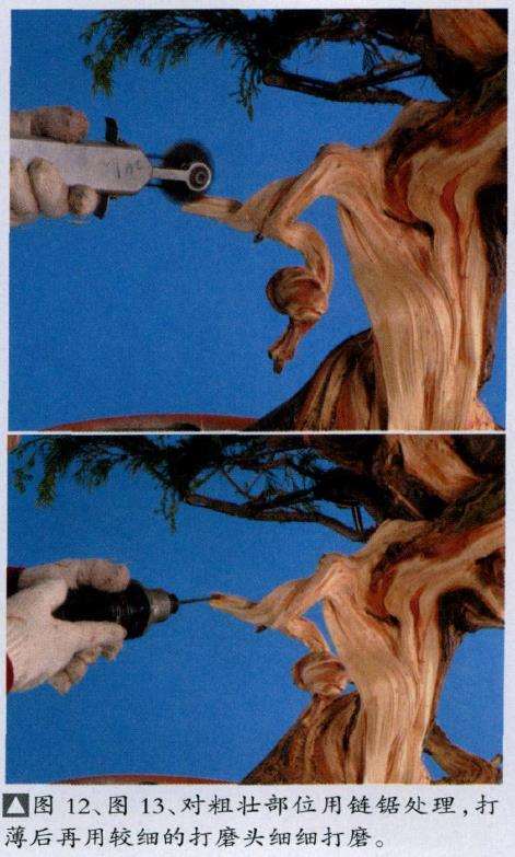 图解 盆景丝雕工具怎么使用的创作展示