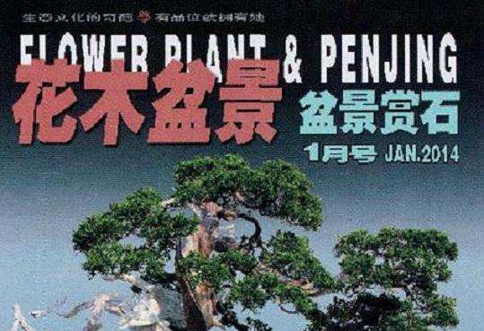 乐为《花木盆景》杂志当红娘