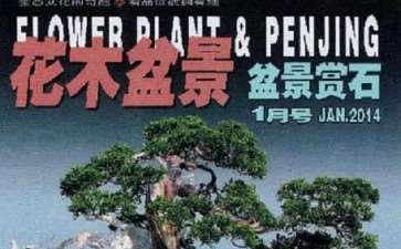 乐为《花木盆景》杂志当红娘
