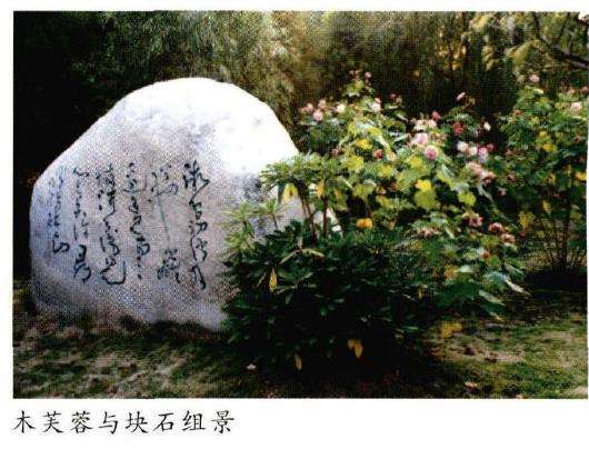 诗人墨客对桂花多有赞咏