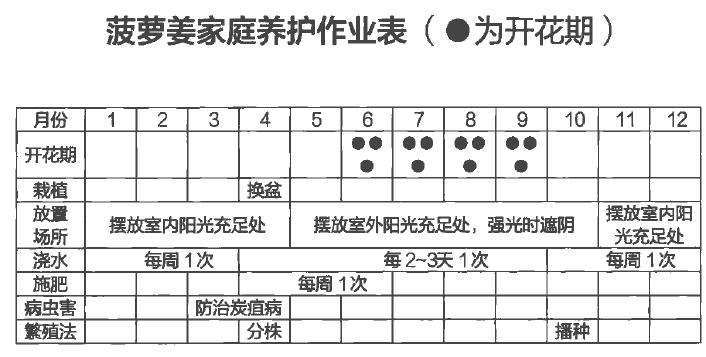 盆栽菠萝姜怎么浇水施肥的3个步骤 图片
