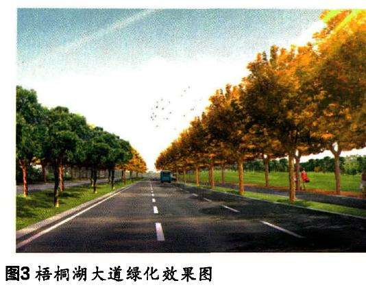 湖北鄂州城市道路绿化设计的多样性思考