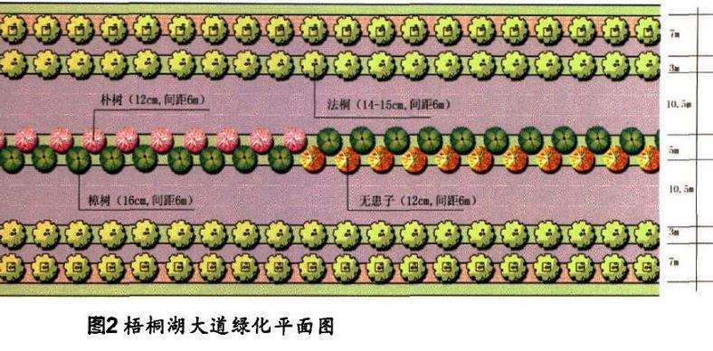 湖北鄂州城市道路绿化设计的多样性思考