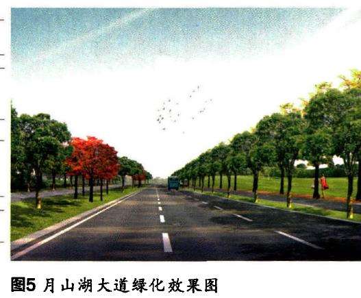 湖北鄂州城市道路绿化设计的多样性思考