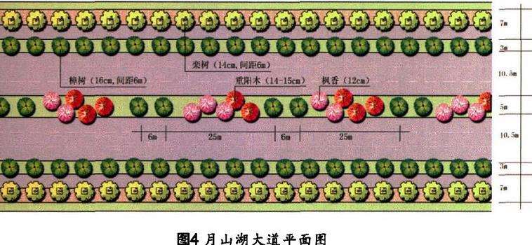 湖北鄂州城市道路绿化设计的多样性思考