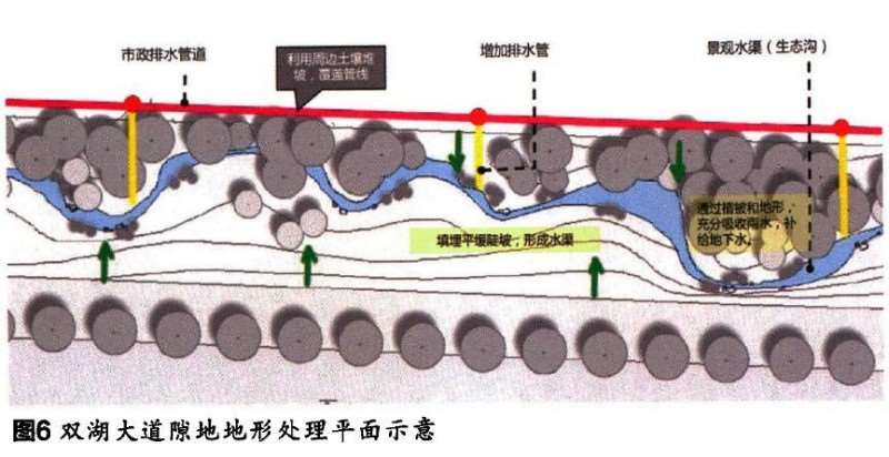 湖北鄂州城市道路绿化设计的多样性思考