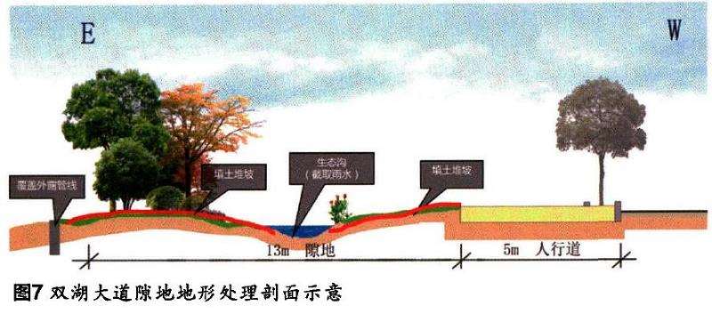 湖北鄂州城市道路绿化设计的多样性思考