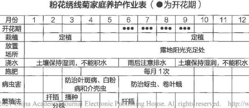 花绣线菊怎么浇水施肥