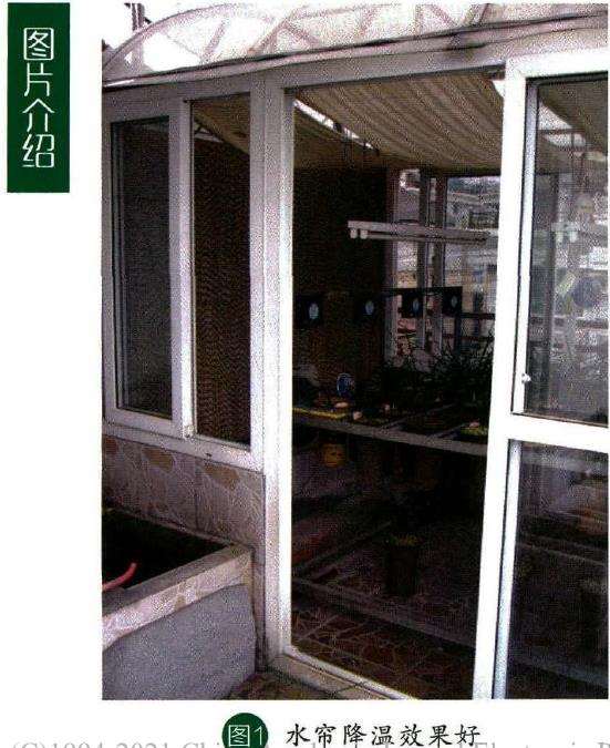 秋季不断调整兰花管理的3个措施