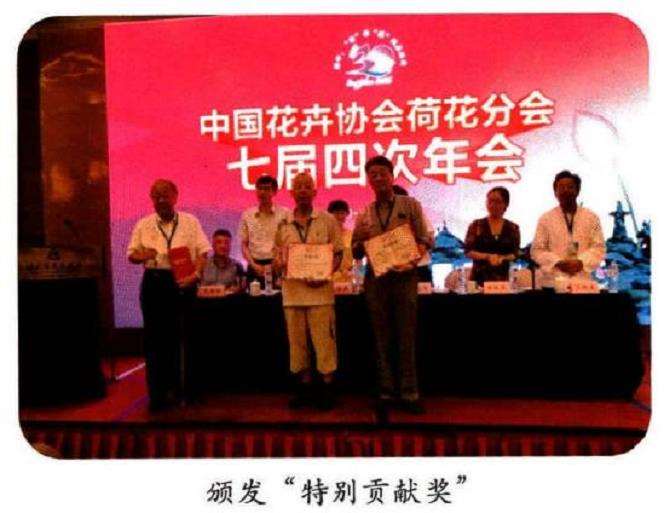 2016年 第30届扬州荷花展