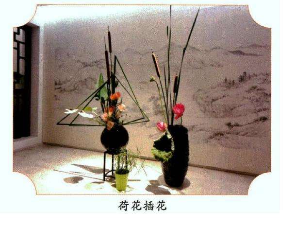 2016年 第30届扬州荷花展