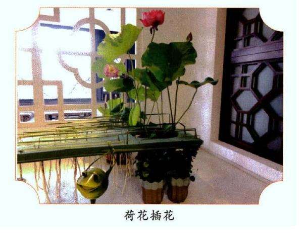 2016年 第30届扬州荷花展