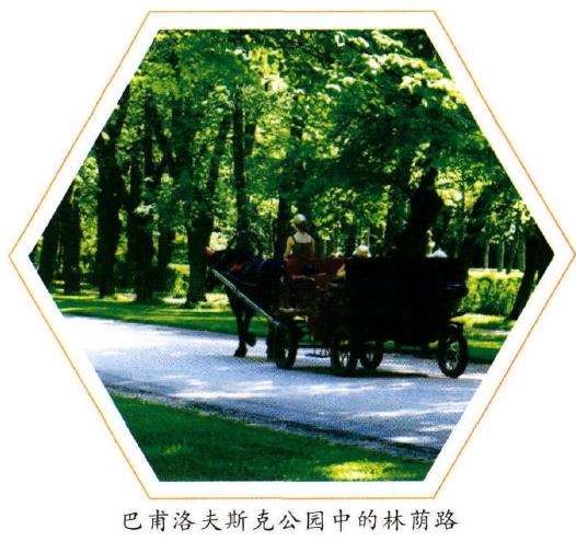 巴甫洛夫斯克公园位于俄罗斯的圣彼得堡