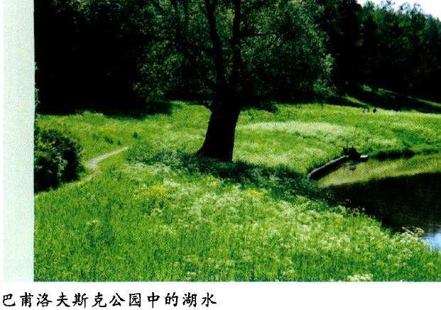 巴甫洛夫斯克公园位于俄罗斯的圣彼得堡