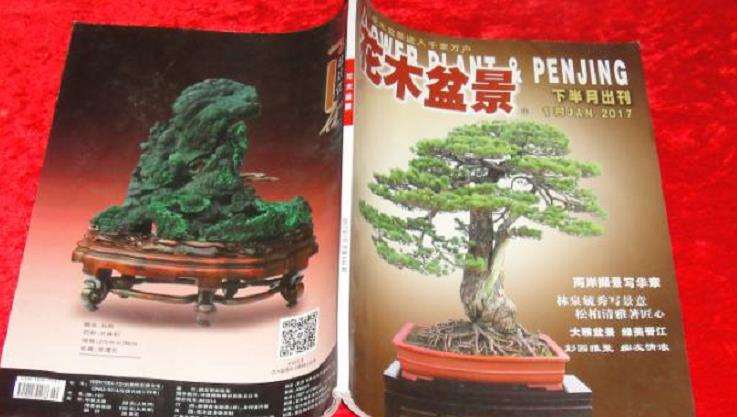分享《花木盆景》杂志
