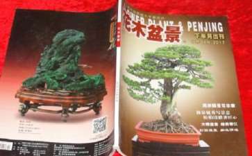 分享《花木盆景》杂志带来的6个艺术美