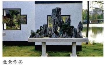 靖江盆景园占地1700平方米 图片