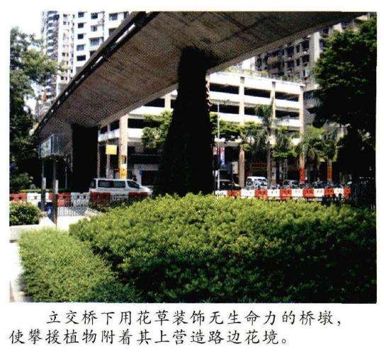 园林花境植物怎么选择管理