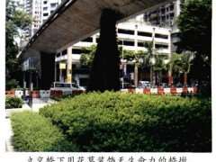 园林花境植物怎么选择管理的5个方法 图片