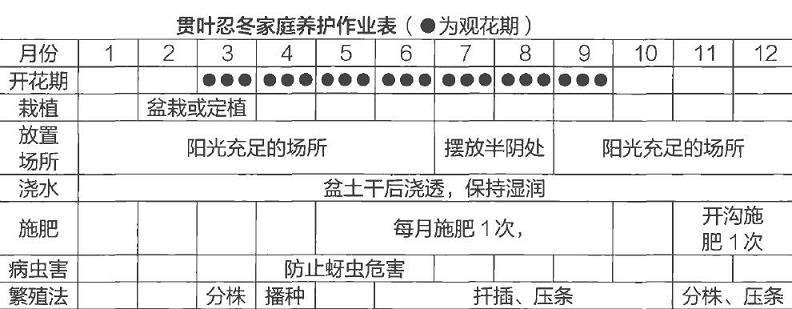 为什么盆栽贯叶忍冬要控制浇水