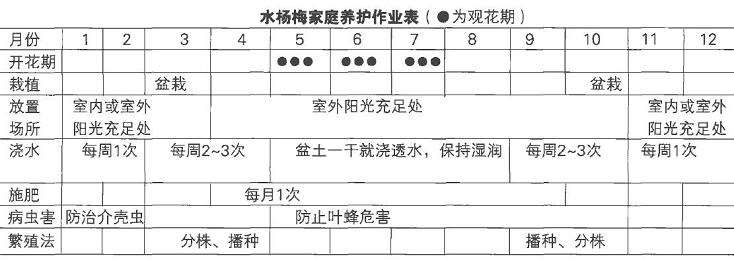 盆栽水杨梅怎么浇水施肥