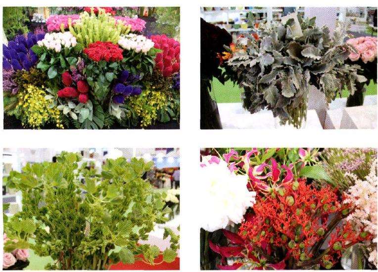 第18届中国国际花卉园艺展览会