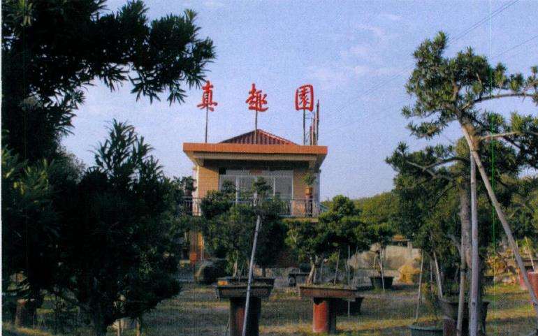 东莞真趣盆景园