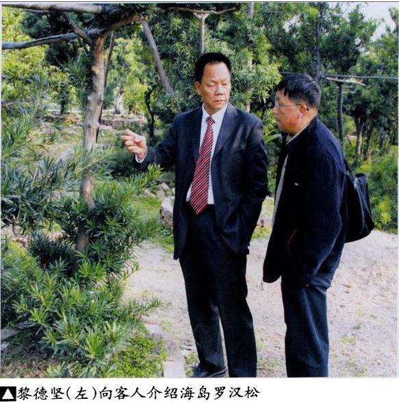 东莞真趣盆景园