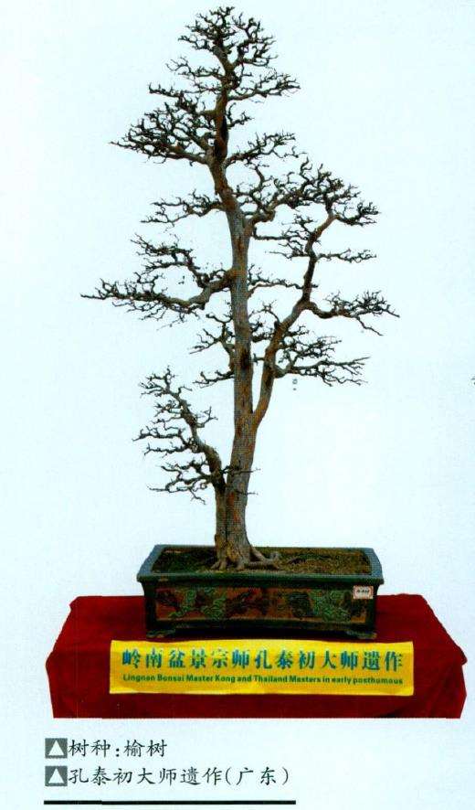 海南省第三届盆景评比展览