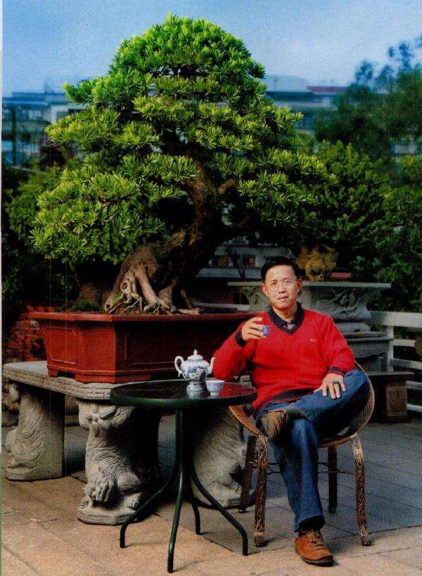 厦门柯成昆他自己对盆景的8个见解