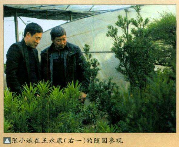 盆景界同仁访问常州