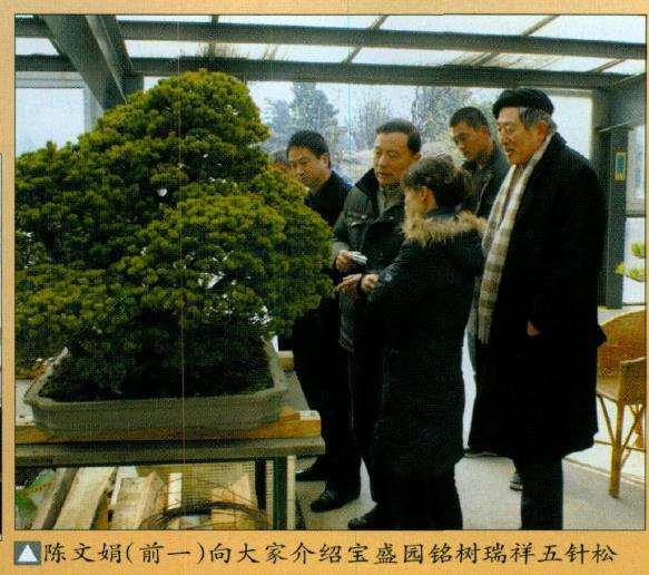 盆景界同仁访问常州