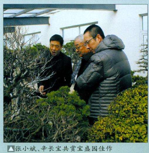 盆景界同仁访问常州