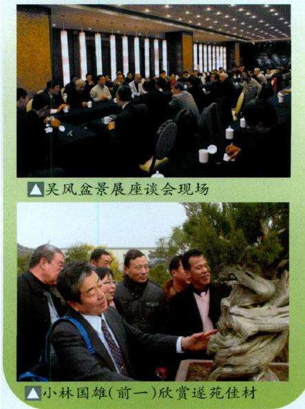 吴风盆景展在苏州成功举办