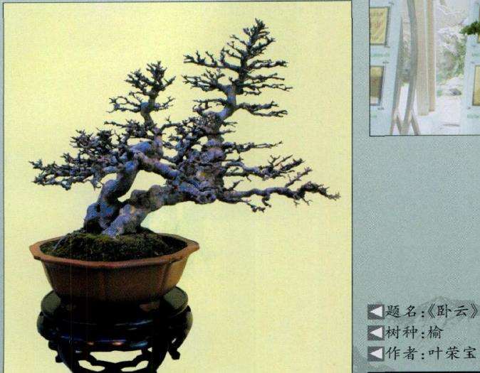 吴风盆景展在苏州成功举办